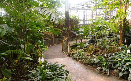 モンペリエ動物園